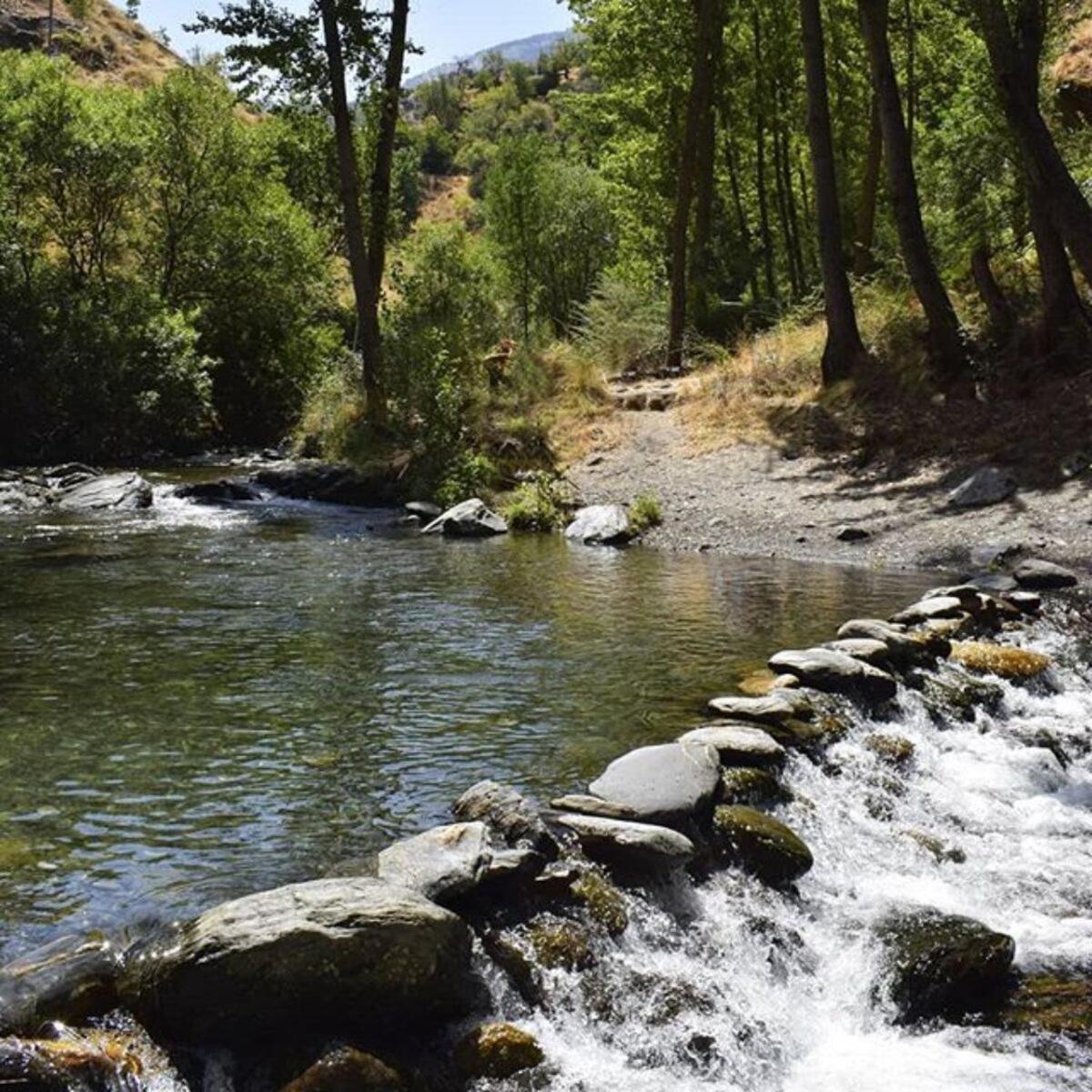 Coqueto Estudio Junto A Sierra Nevada Güéjar Sierra Zewnętrze zdjęcie